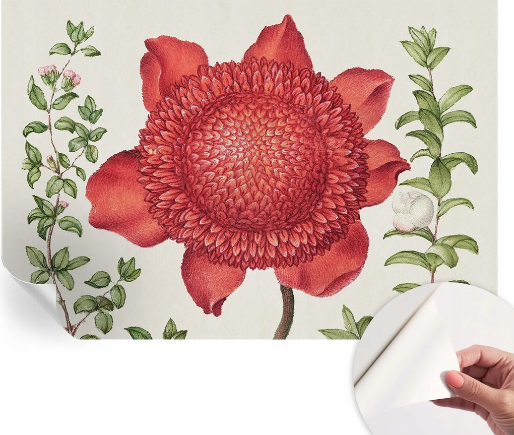 Matt öntapadós fotótapéta Falra Virágos elegancia 152x104 cm