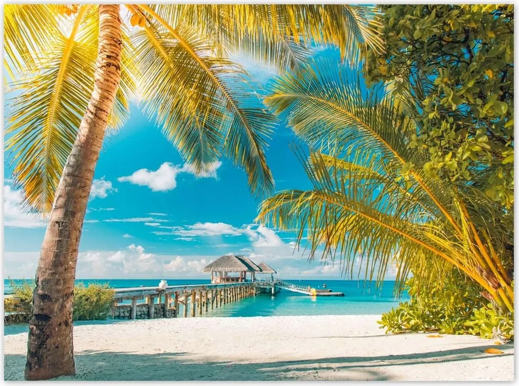 Poszterek 135x100 Trópusok Tájkép Pálma