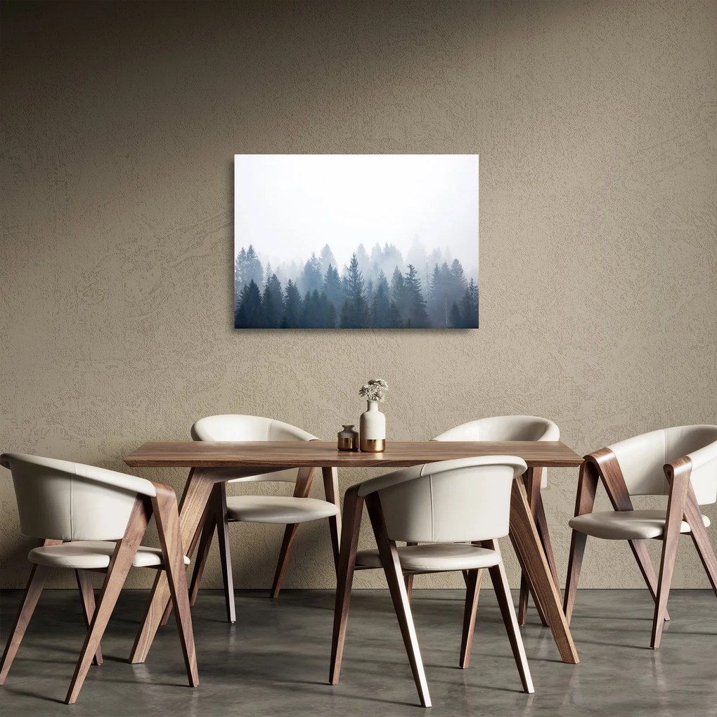 Üveg kép - Ködös erdő (70x50 cm)