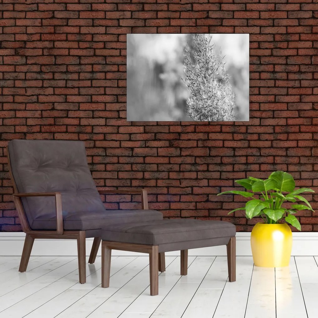 Üveg kép - Boho pampafű (70x50 cm)