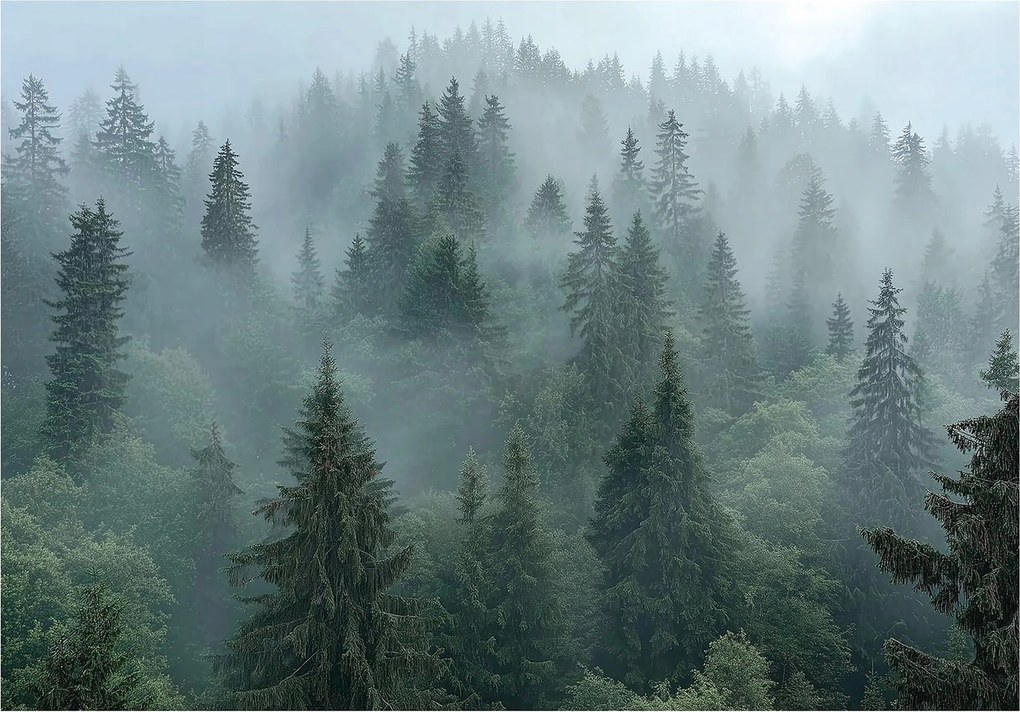 Fotótapéta erdő a ködben fák zöld szürke hegyi táj 312 x 219