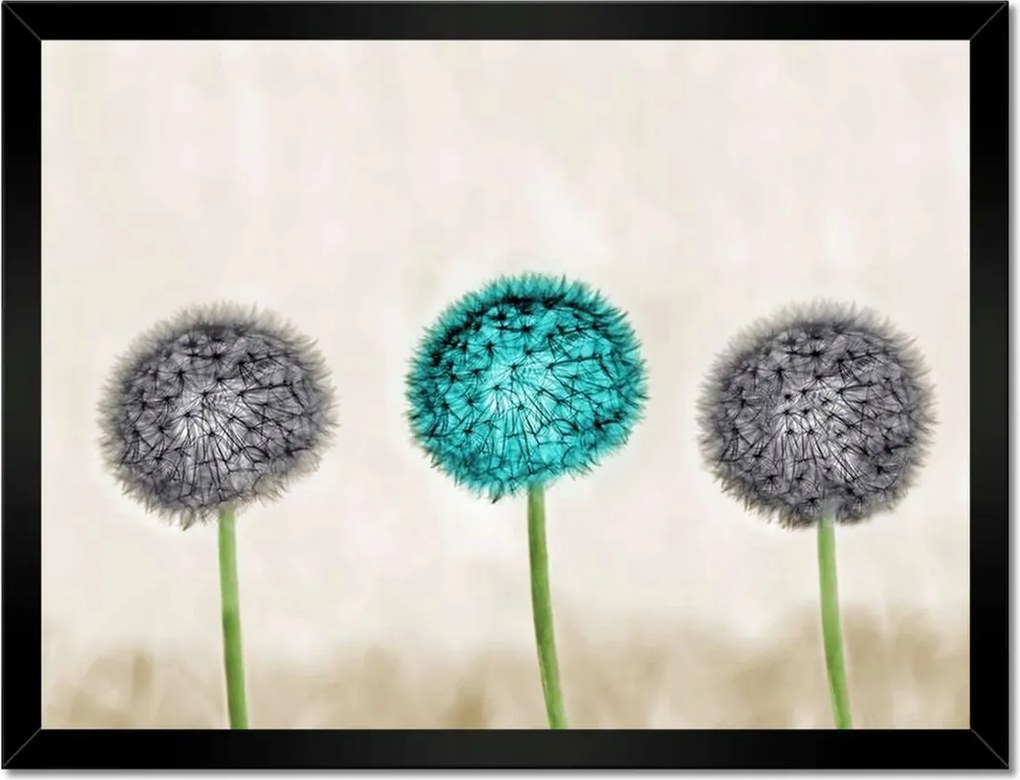 Poszterek keretben 40x30 Kék pitypang