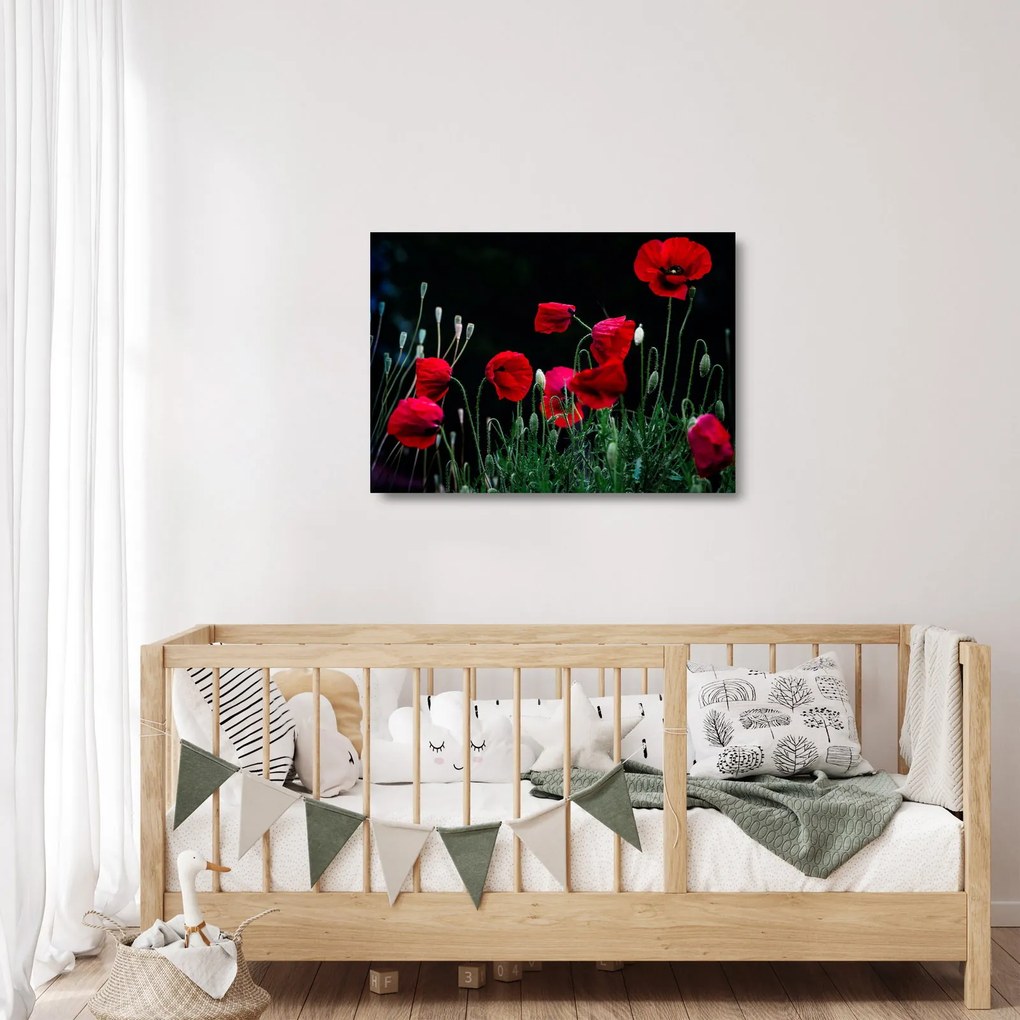Kép - Pipacsok tánca (üvegen) (70x50 cm)