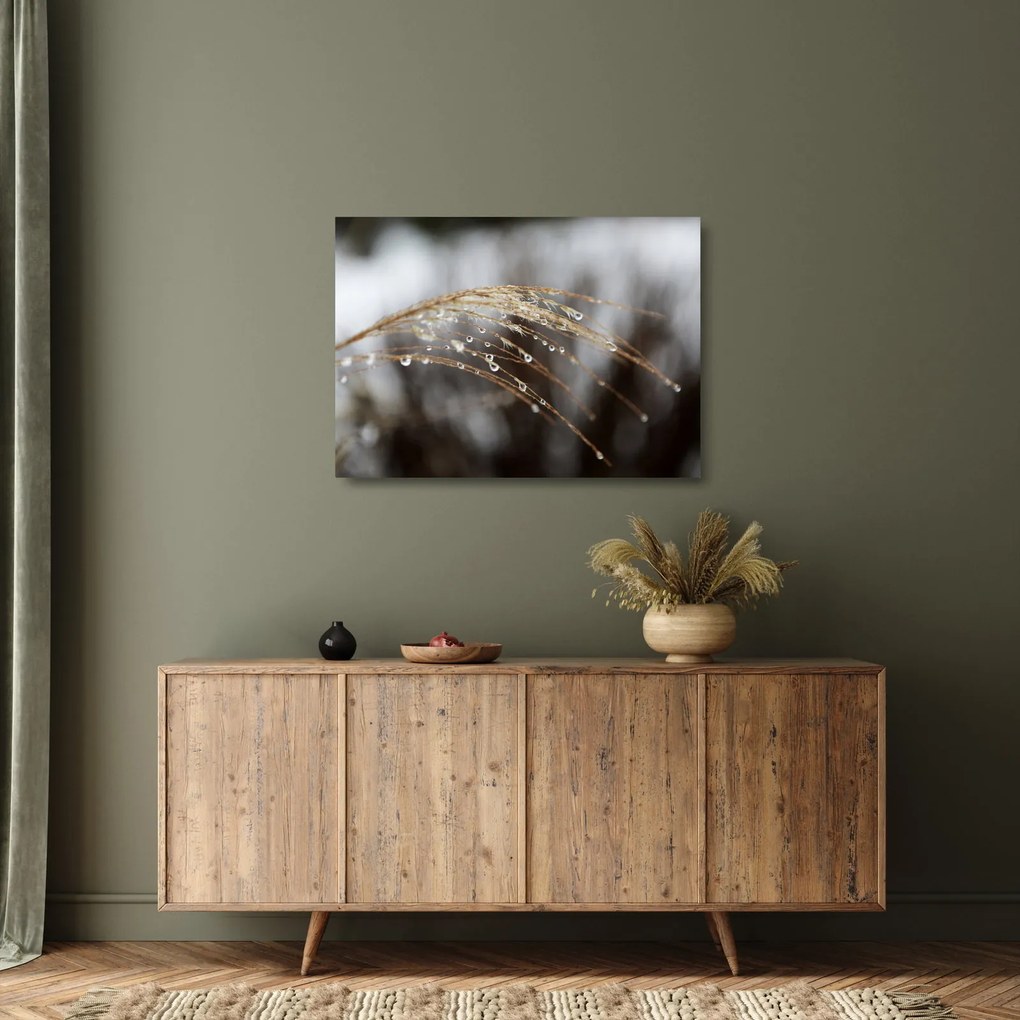 Cseppkép egy növényen (üvegen) (70x50 cm)