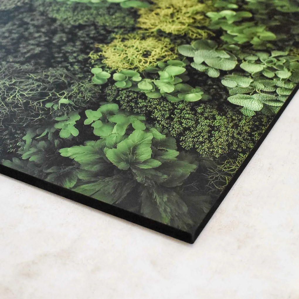 DUBLEZ | Nyomtatott moha kép a falra