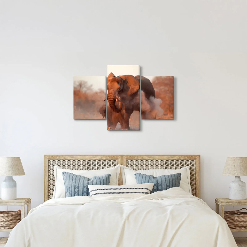 Kép - Nagy afrikai elefánt (90x60 cm)
