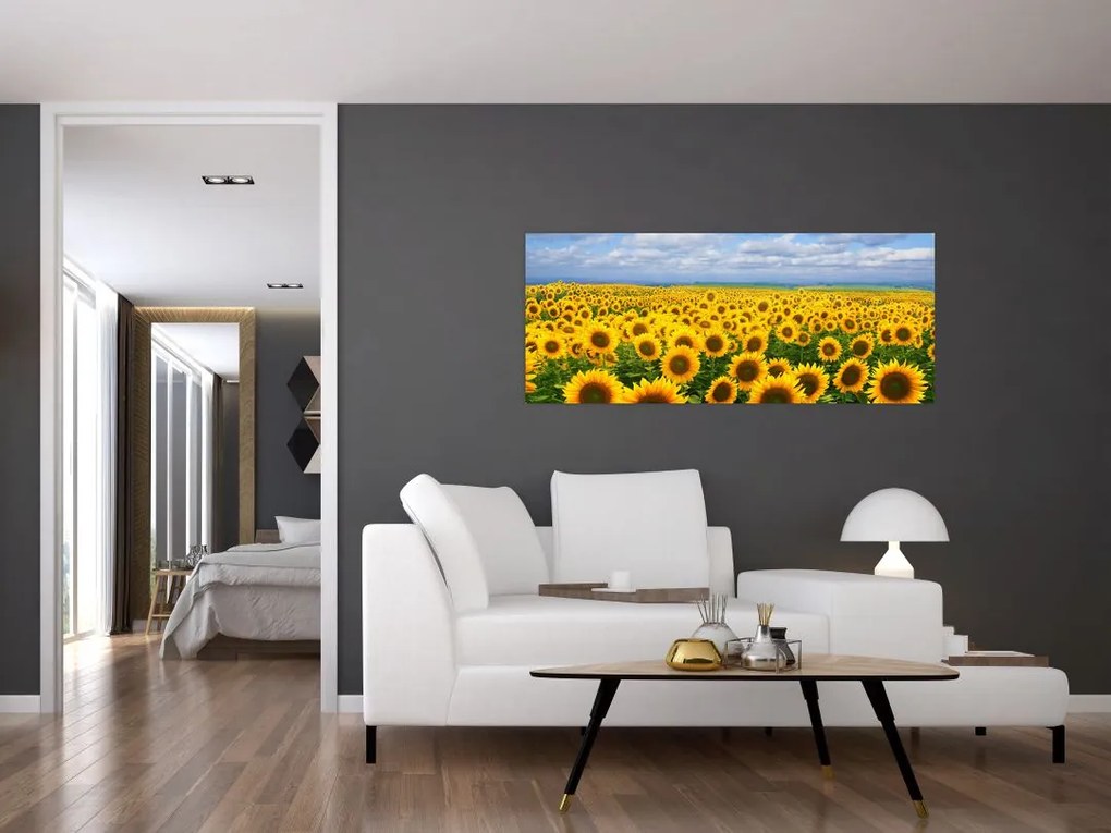 A napraforgó mező képe (120x50 cm)