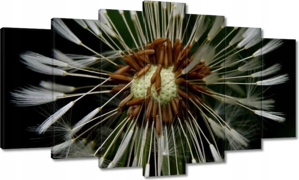 Vászonkép 140x80 Pitypang Virág Virágok