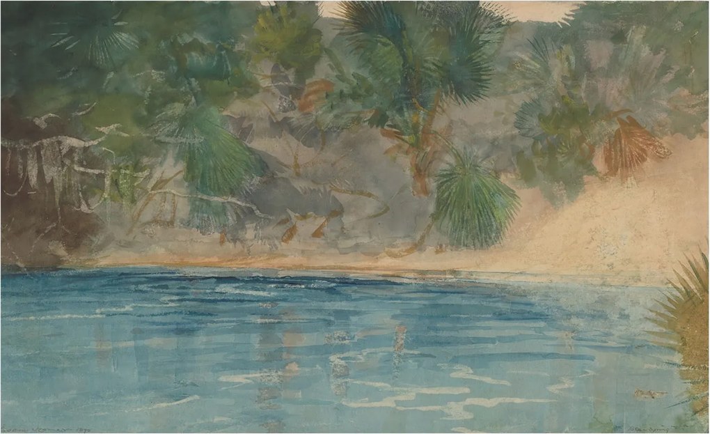 Divatos Flizelin Tapéta Fali Furnér Trópusi szegély 416x254 Ragasztó