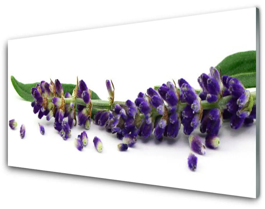 Akril üveg kép Lavender Csendélet 140x70 cm
