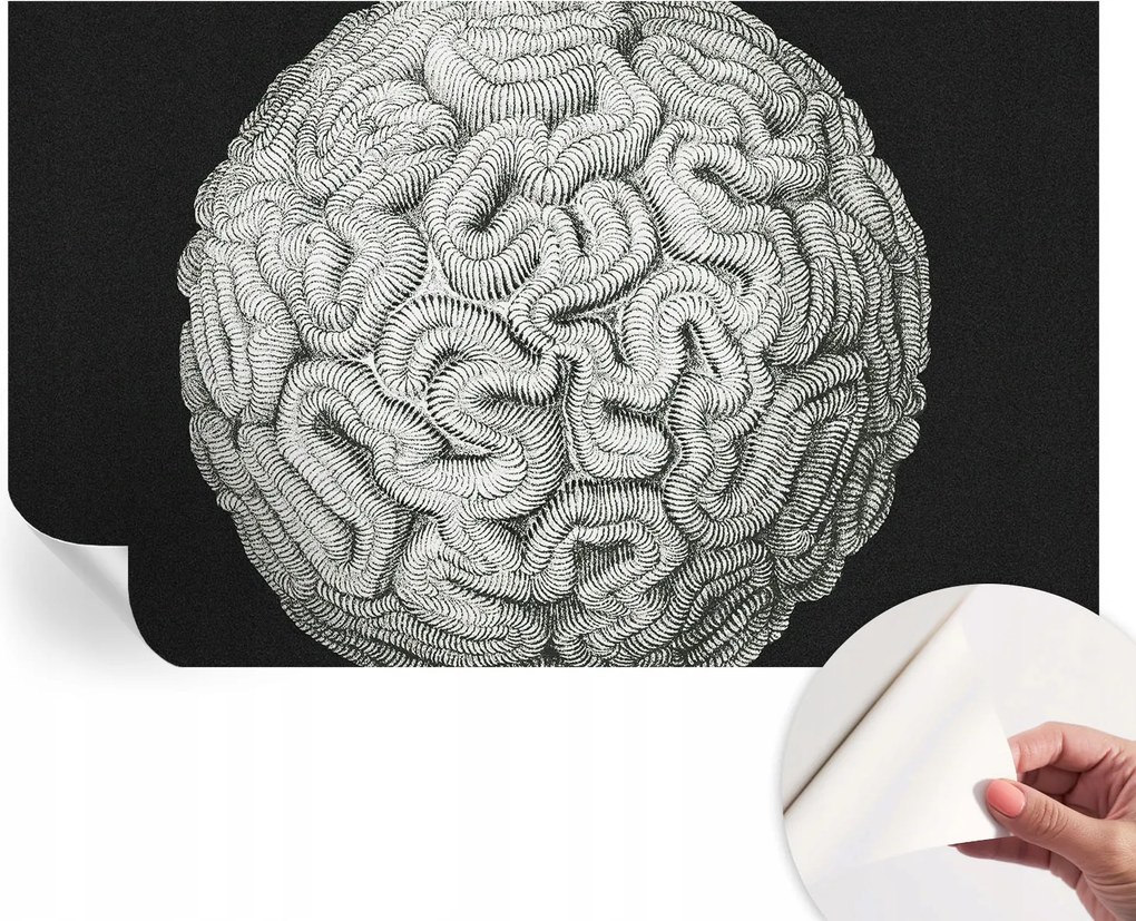 Divatos öntapadós tapéta Fali furnér Gömb alakú szerkezet 416x254 cm