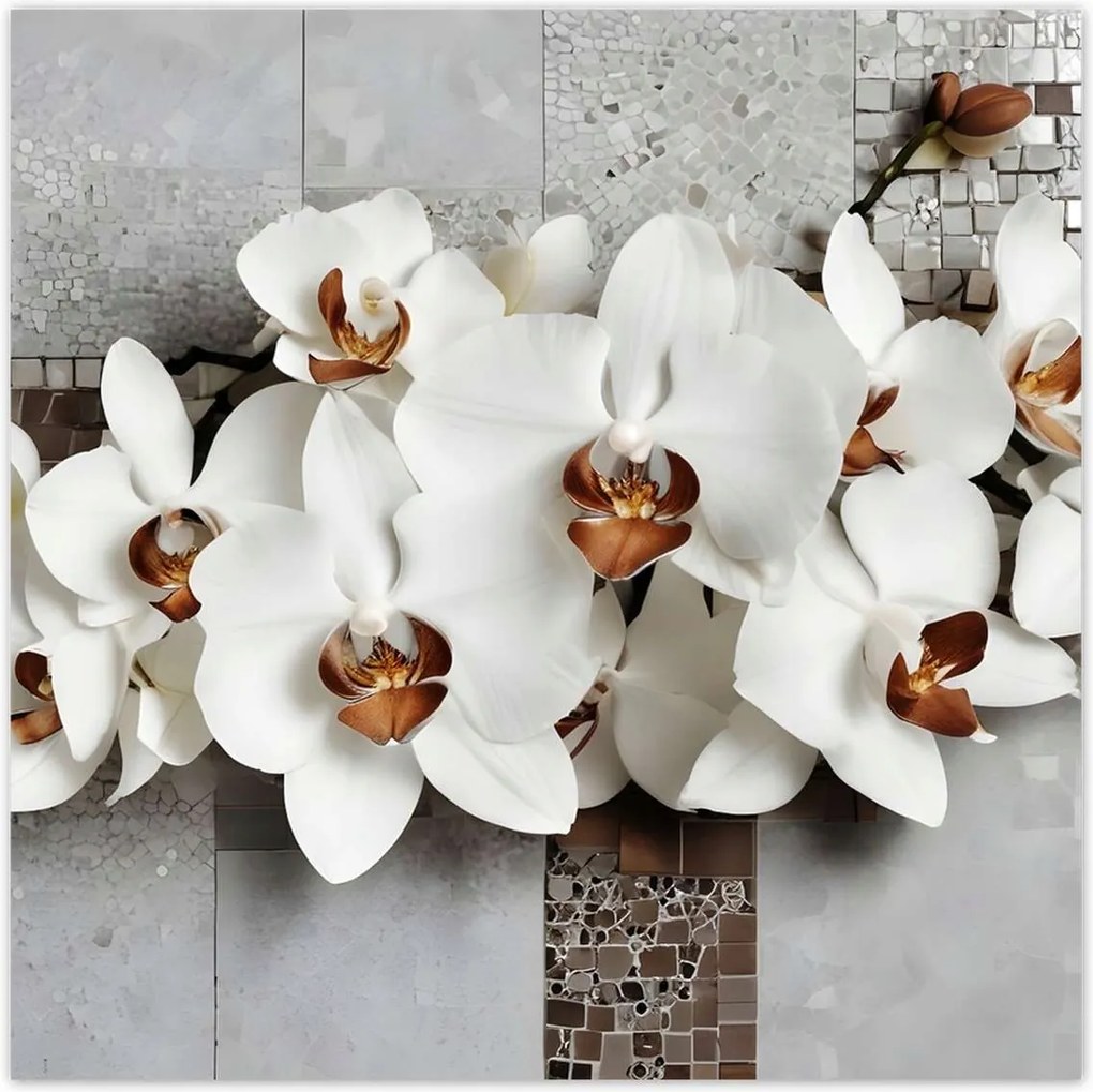 Poszterek 50x50 Fehér orchideák és mozaik