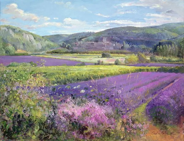 Reprodukció Lavender Fields in Old Provence, Timothy Easton