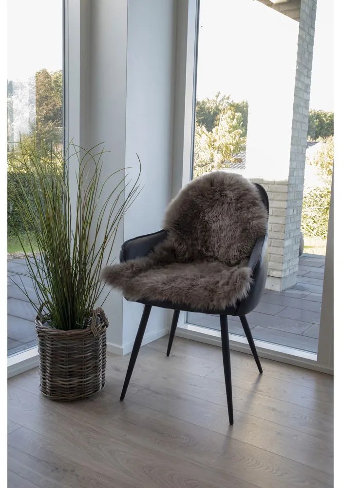 Báránybőr, gomba szín, 50x85 cm