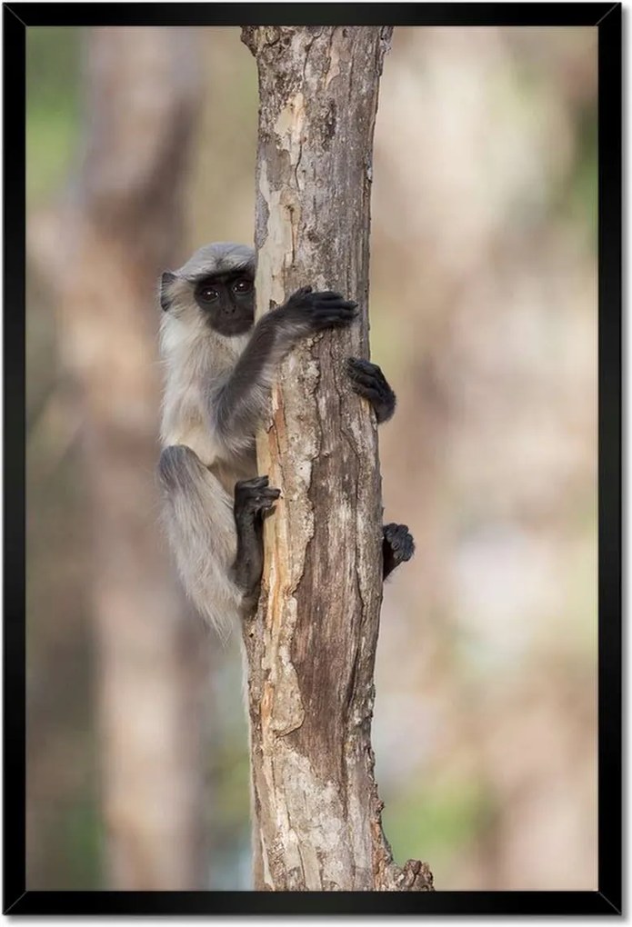 Poszterek keretben 40x60 Pihenés a természetben