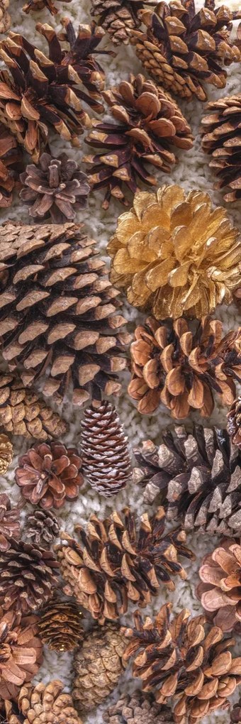 Poszter 30,5x91,5cm Fenyőtobozok, Assaf Frank