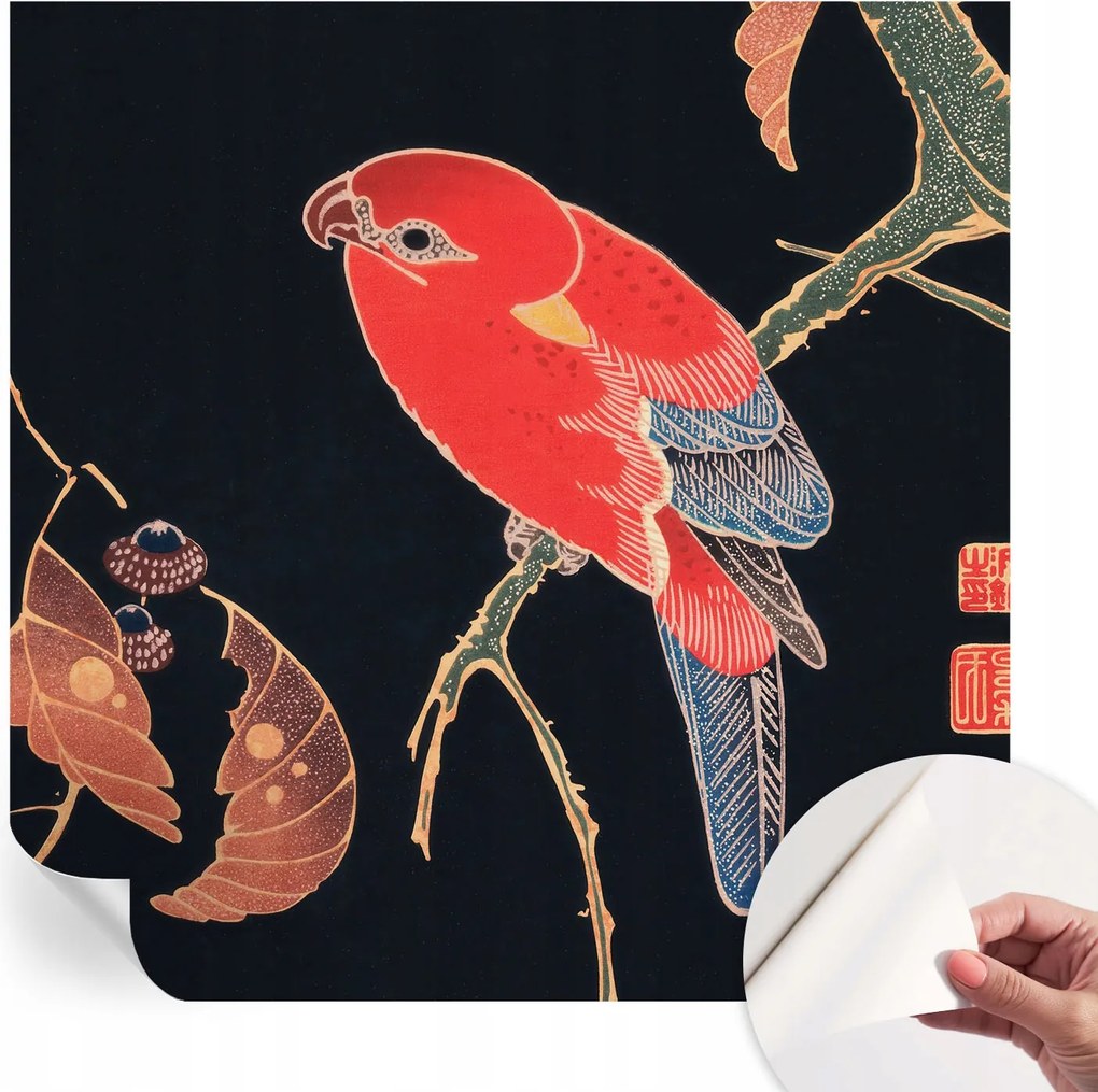 Öntapadós tapéta Fali furnér 3D hatás Egzotikus madár 250x250 cm