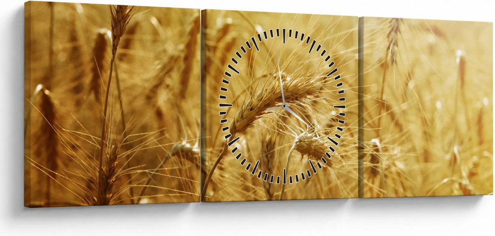 Kép - Gabonafül (órával) (90x30 cm)