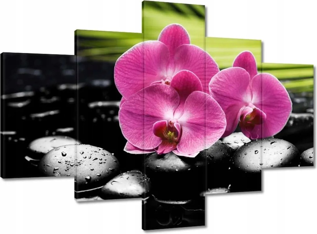 Vászonkép 100x70 Spa Kövek és leanderek