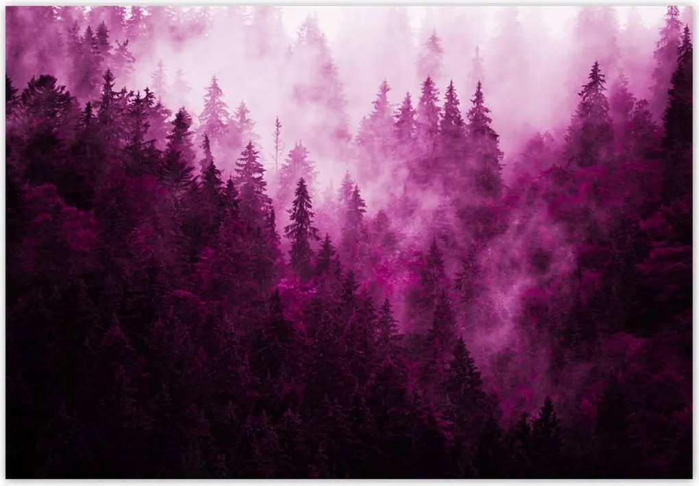 Fotótapéták 368x254 Tájkép Rózsa Hegyek Köd