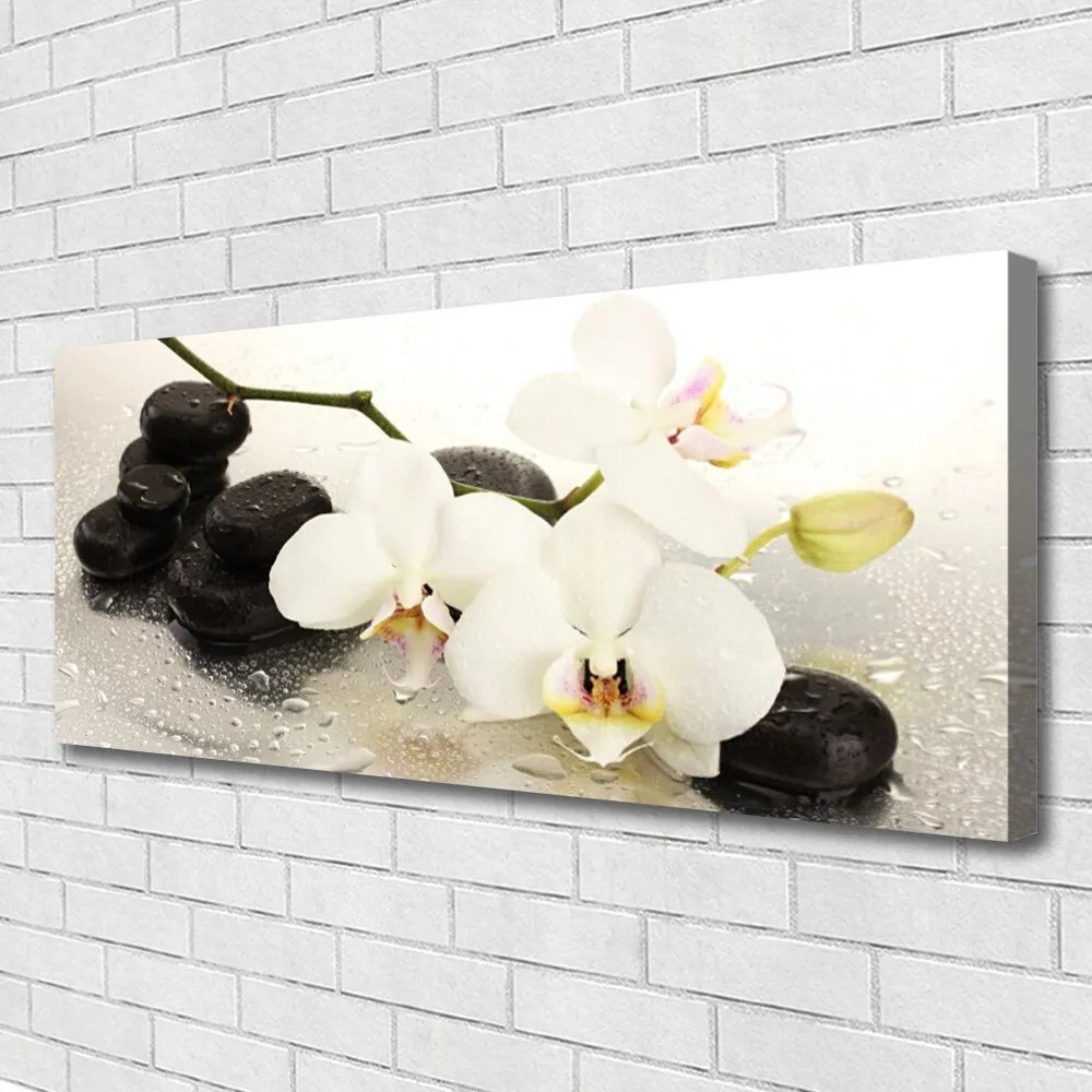 Vászonkép falra Szép virág orchidea 100x50 cm