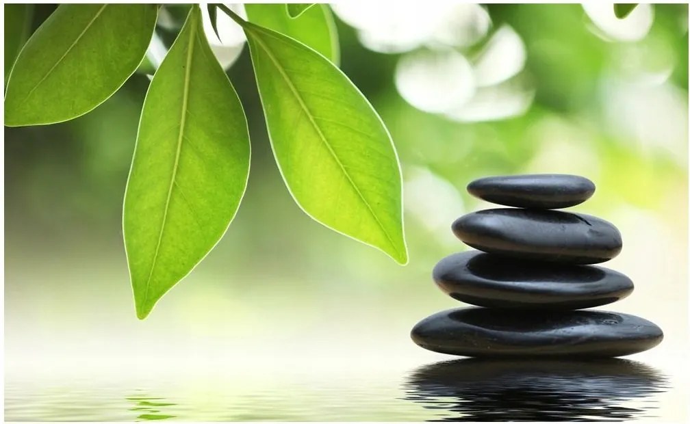 Normál Fotótapéta 368 x 254