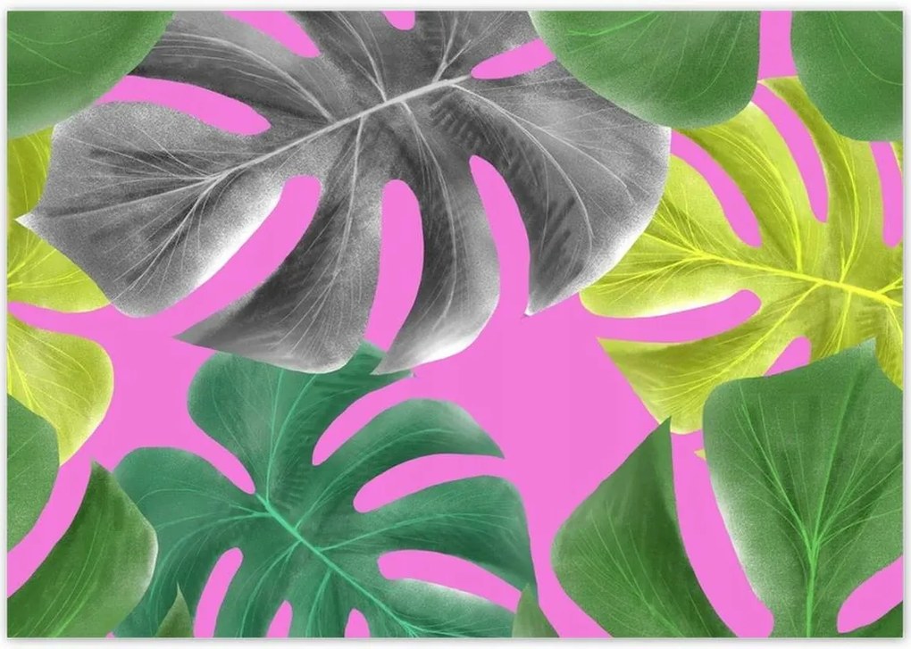 Poszterek 100x70 Levelek Monstery