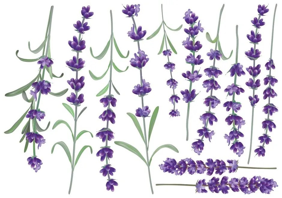 Levanders falmatrica szett - Ambiance