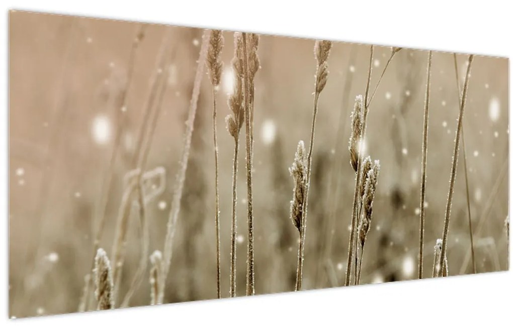 Kép - Harmonikus rét (120x50 cm)