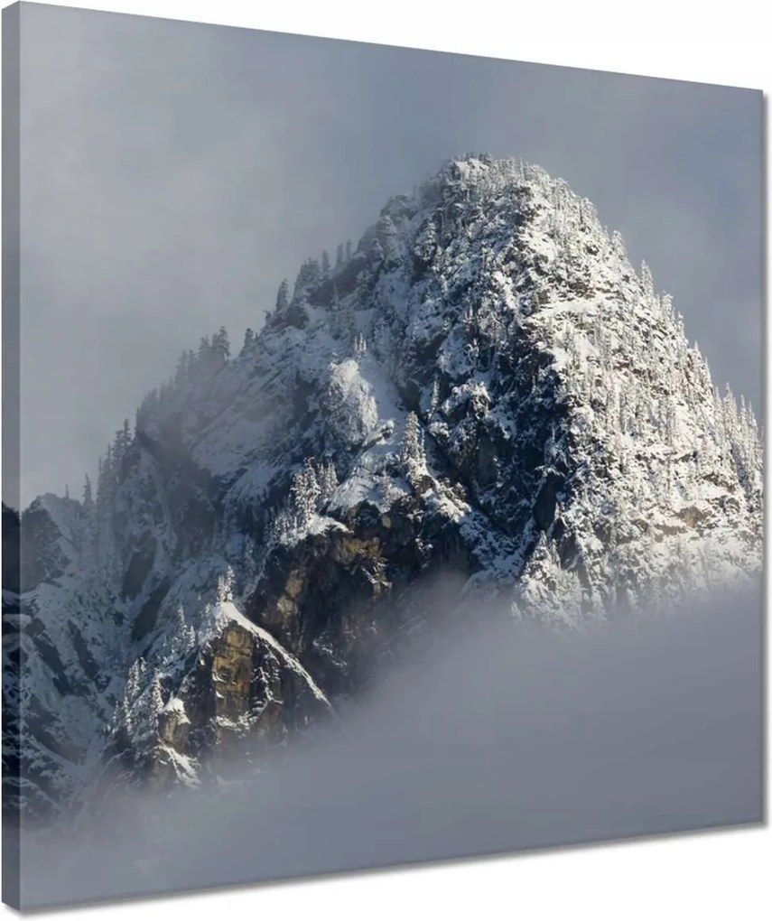 Vászonkép 40x40 Tél Hegy Hó Köd