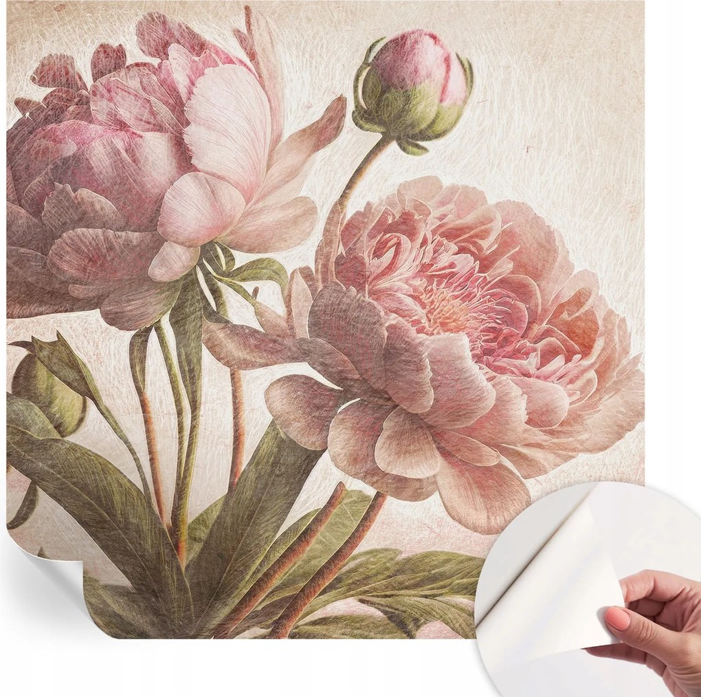 Dekoratív öntapadós fotótapéta irodába Finom bazsarózsa 250x250 cm