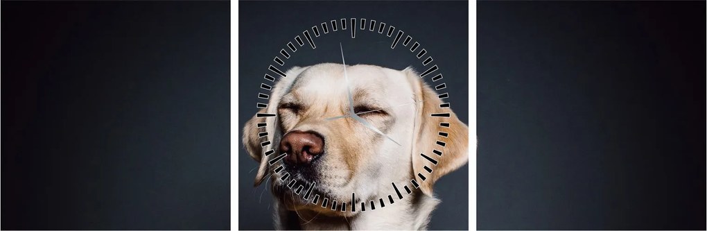 Labrador képe (órával) (90x30 cm)