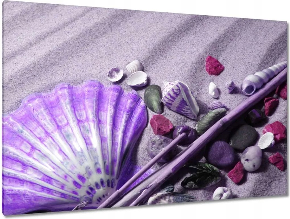 Vászonkép 120x80 Lila kagyló