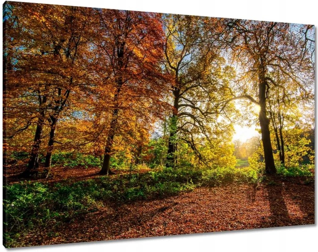 Festmények 100x70 Tájkép