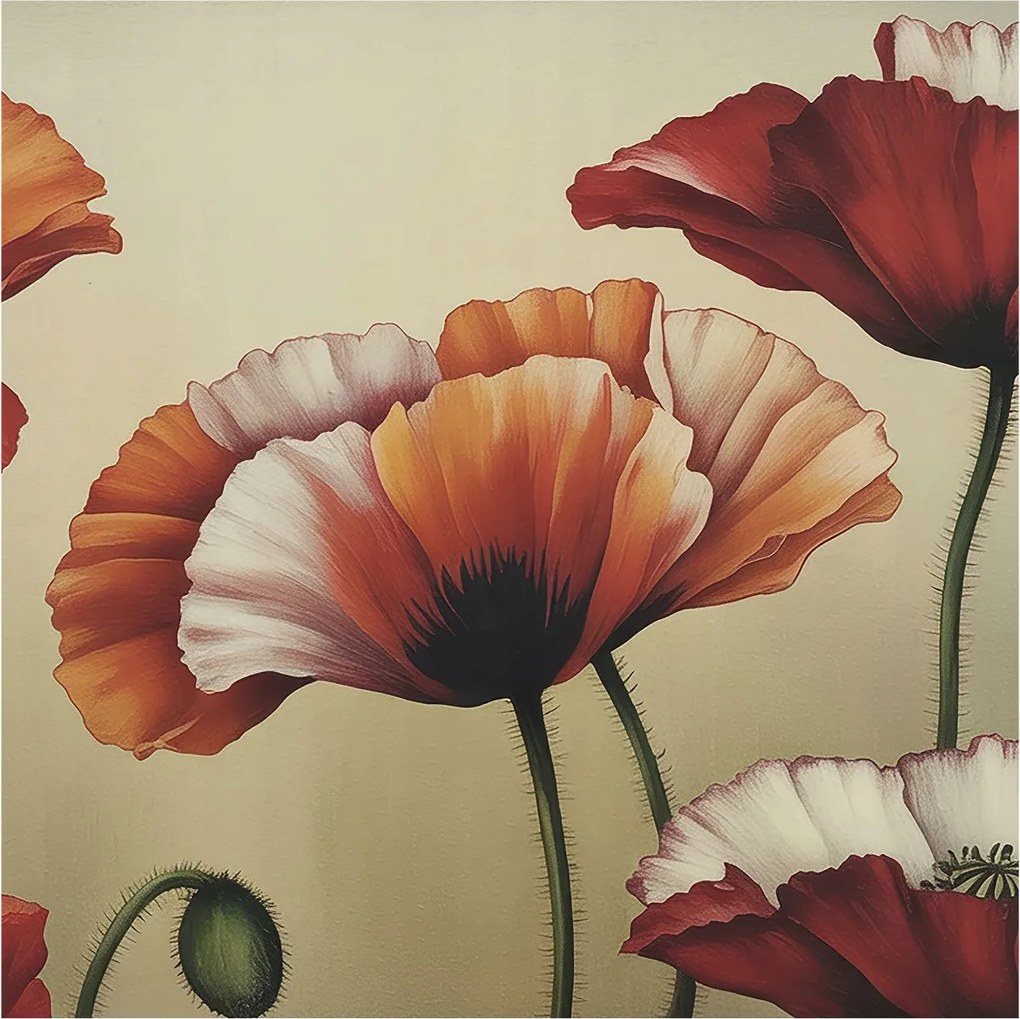 Fotótapéta Dekoratív Fali Tapéta Képekkel Vidám pipacsok 250x250