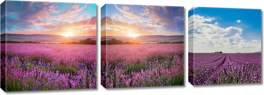 Képek Triptichonok 3x 30x30 Levendula kilátás