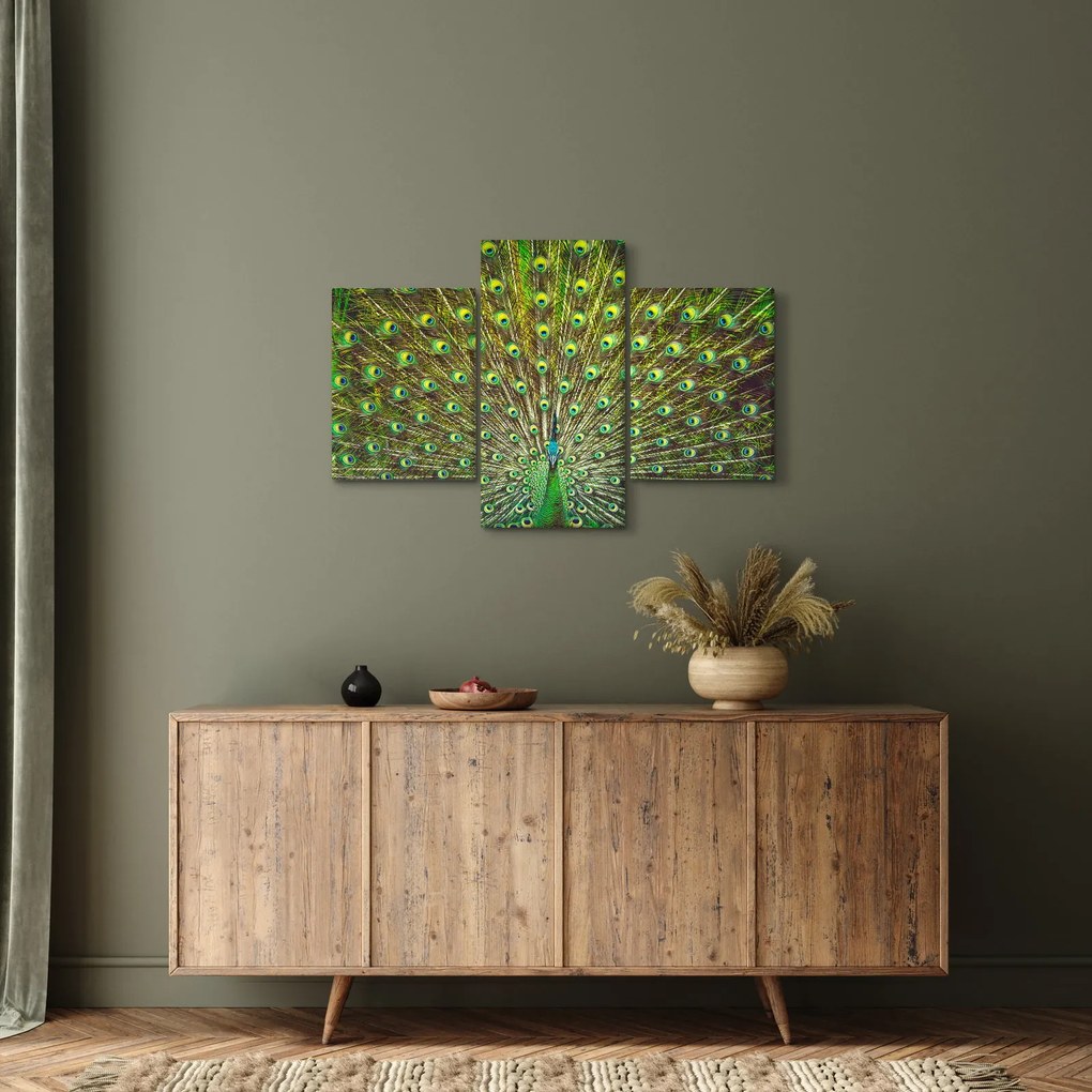 Kép - Páva (90x60 cm)