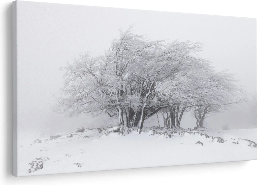 Kép - fehér tél (90x60 cm)