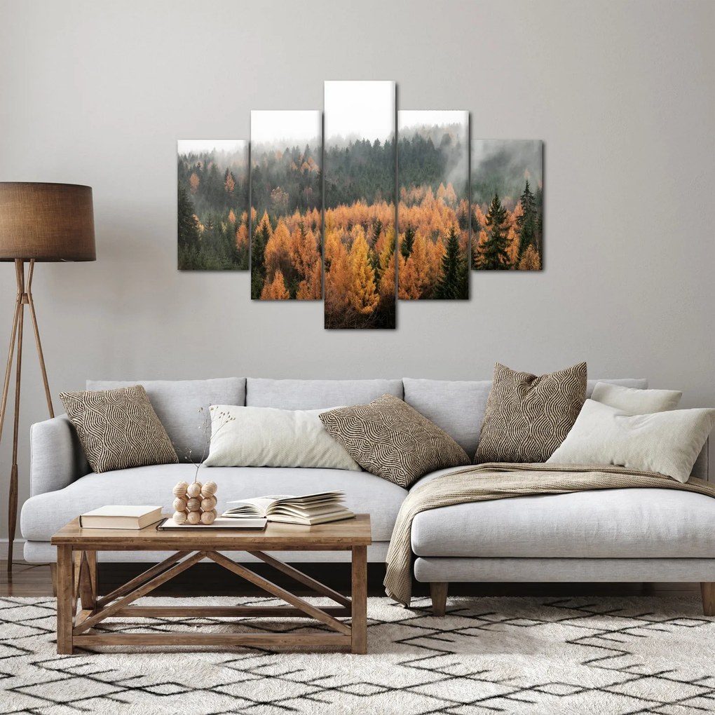 Kép - őszi erdő (150x105 cm)