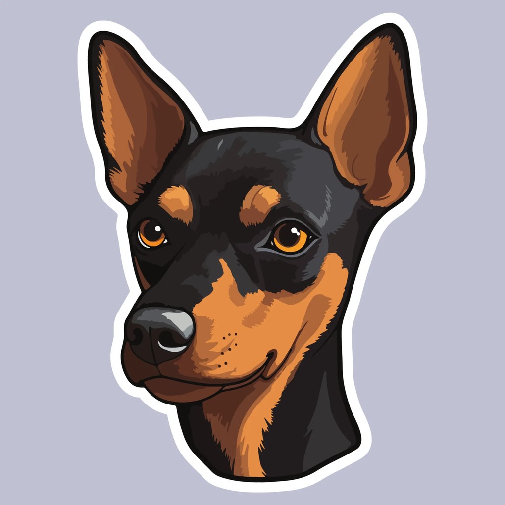 PIPPER. Matrica Miniatűr pinscher Méret: 60cm