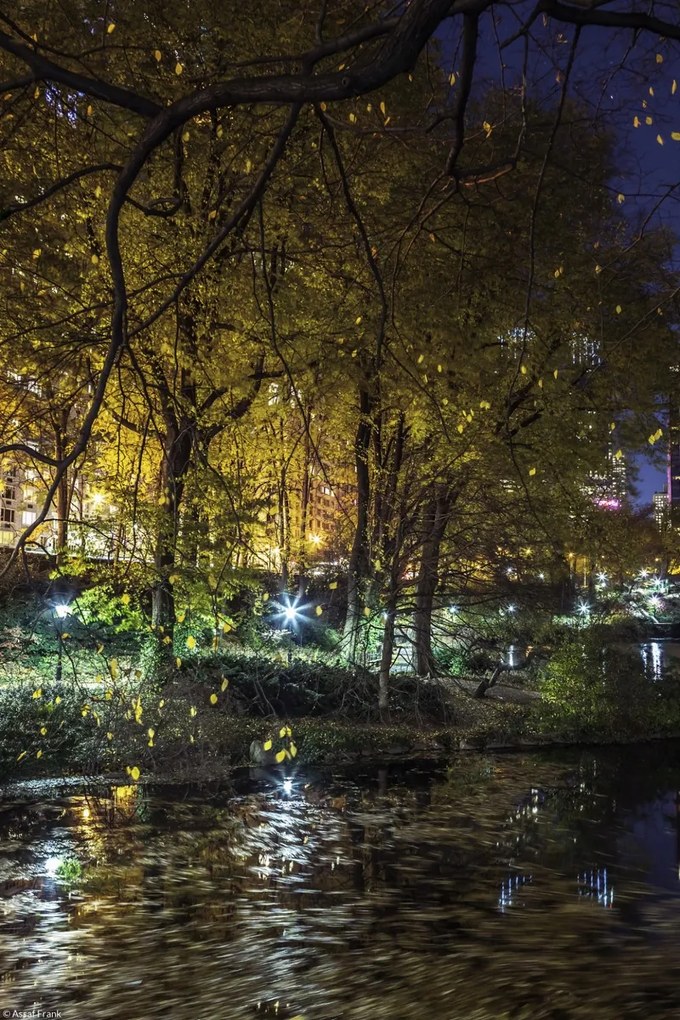 Poszter 20x30cm Esti kilátás a New York-i Central Parkra 7, Assaf Frank