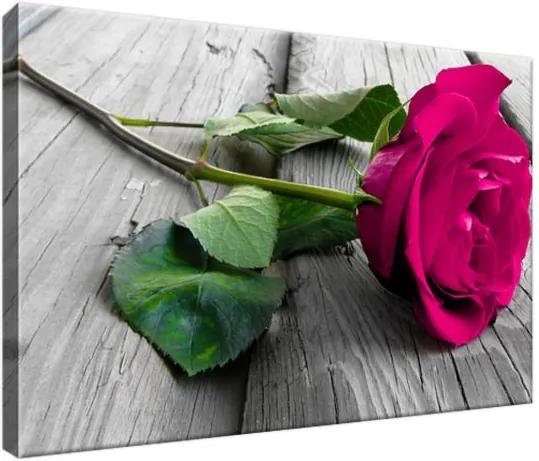 Vászonkép Rózsaszín rózsa a hídon 30x20cm 1768A_1T