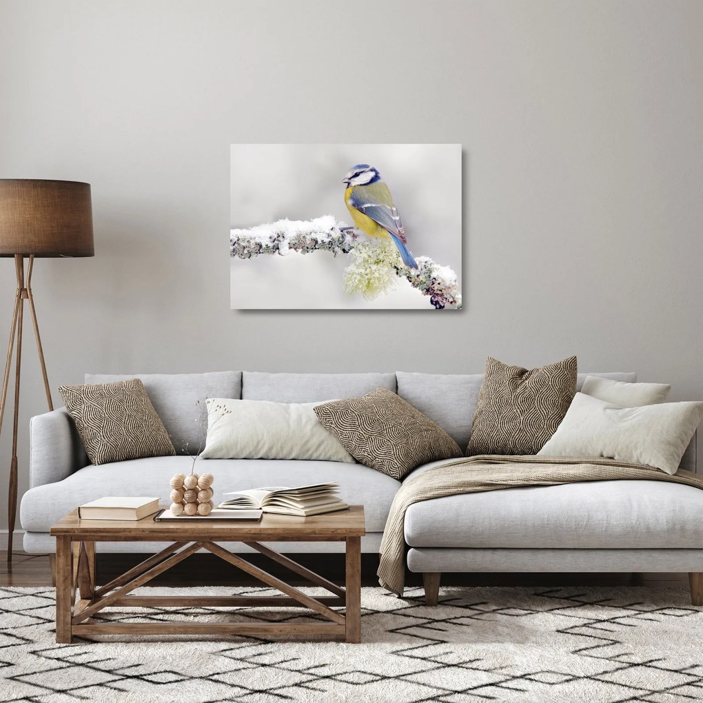 Üveg kép - Kékvércse az erdőben (70x50 cm)