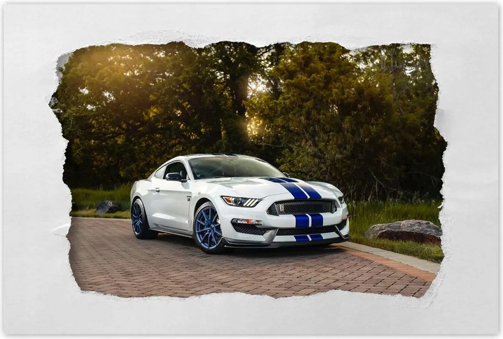Poszterek 60x40 Ford Mustang Usa autó