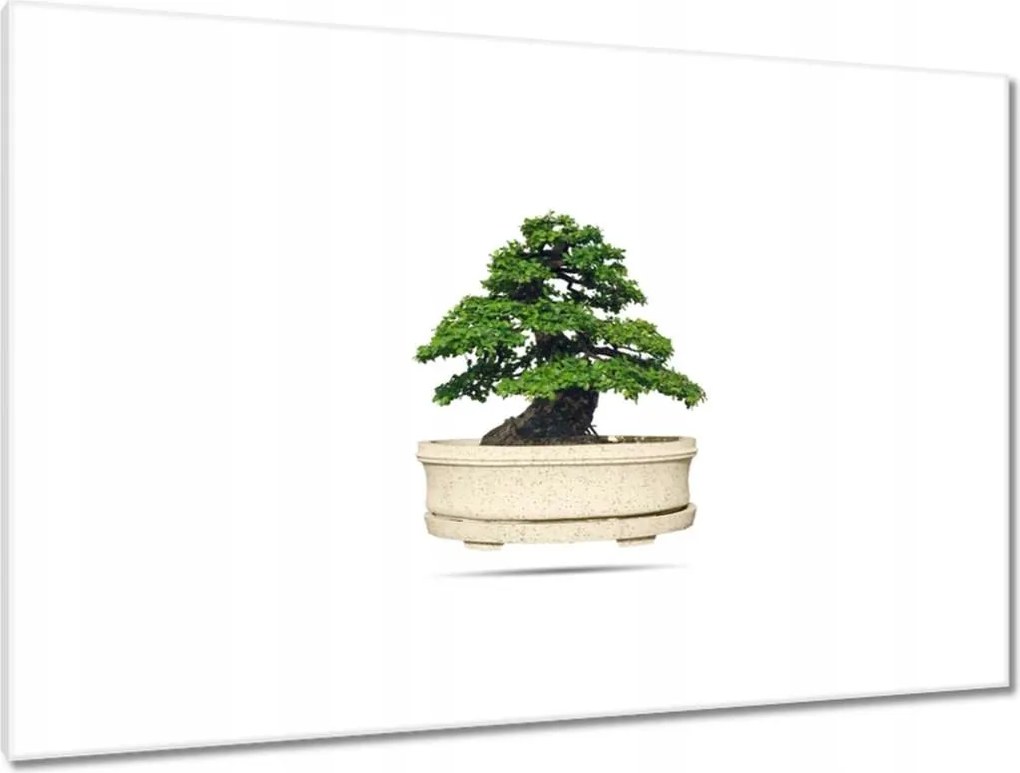 Festmények 120x80 Bonsai fa