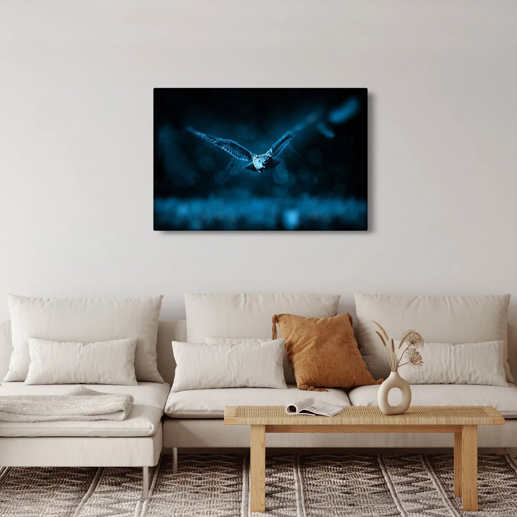 Egy repülő bagoly képe (90x60 cm)