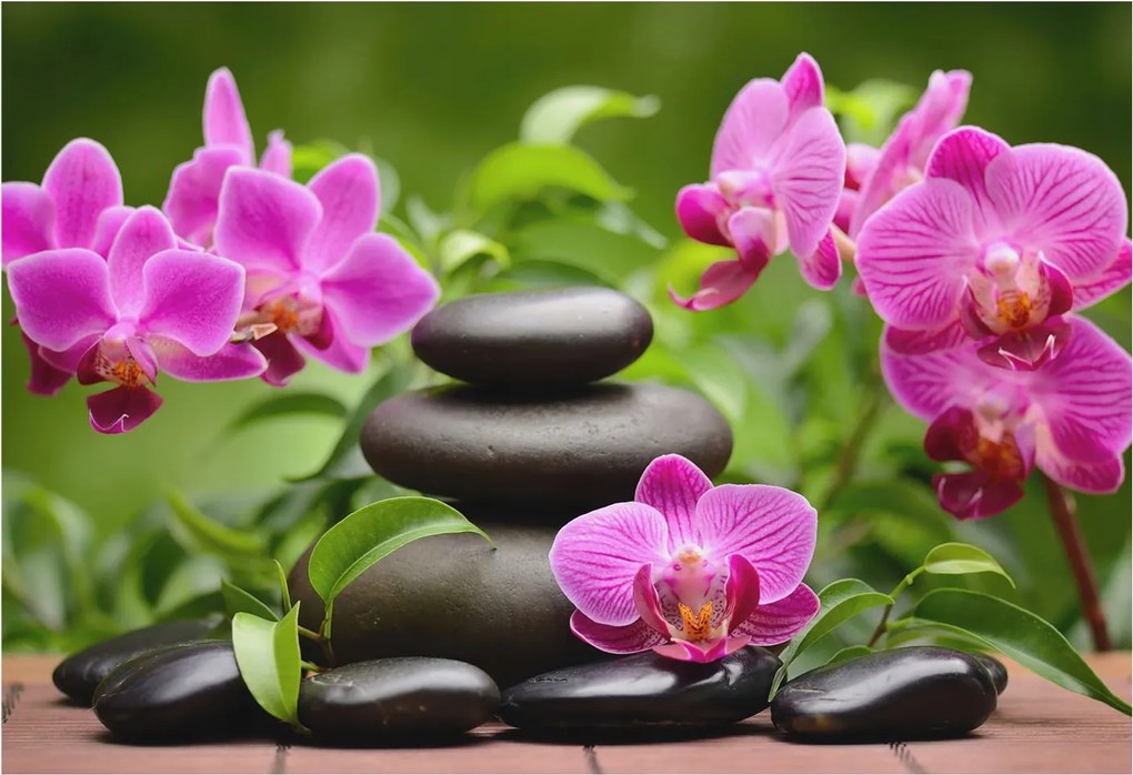 Stílusos Dekoratív Fotótapéta Flizelin Orchidea kövek 152x104 Ragasztó