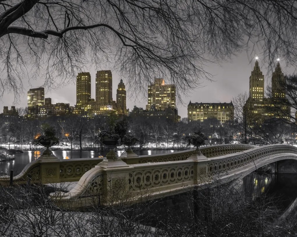 Poszter 76x60,5cm Központi park Manhattan panorámával, Assaf Frank