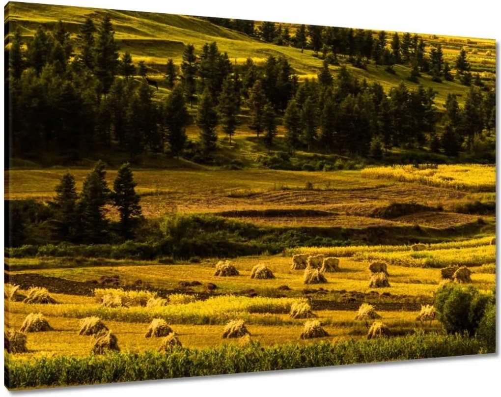 Festmények 100x70 Tájkép Látvány