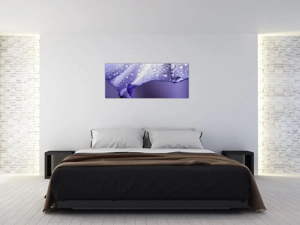 Kép - Szirom cseppekkel (120x50 cm)